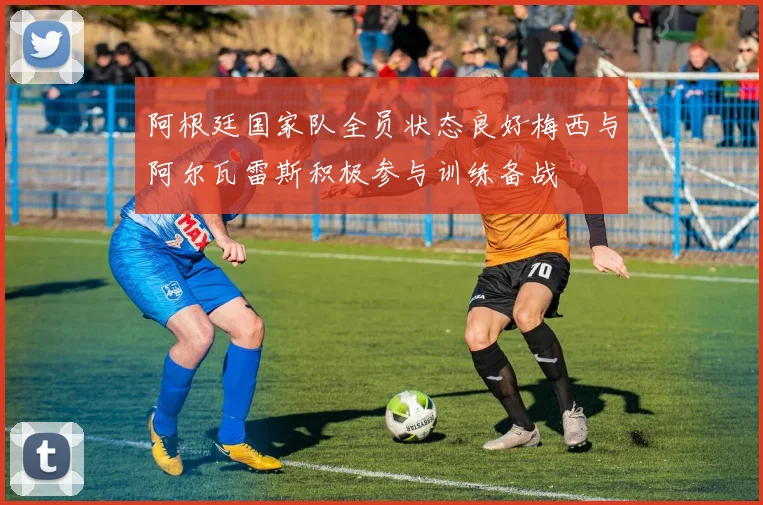 阿根廷国家队全员状态良好梅西与阿尔瓦雷斯积极参与训练备战