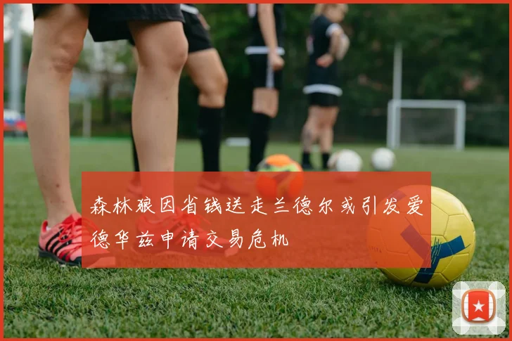 森林狼因省钱送走兰德尔或引发爱德华兹申请交易危机