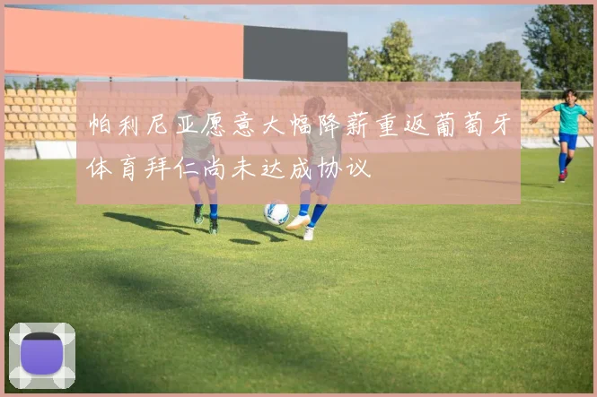 帕利尼亚愿意大幅降薪重返葡萄牙体育拜仁尚未达成协议