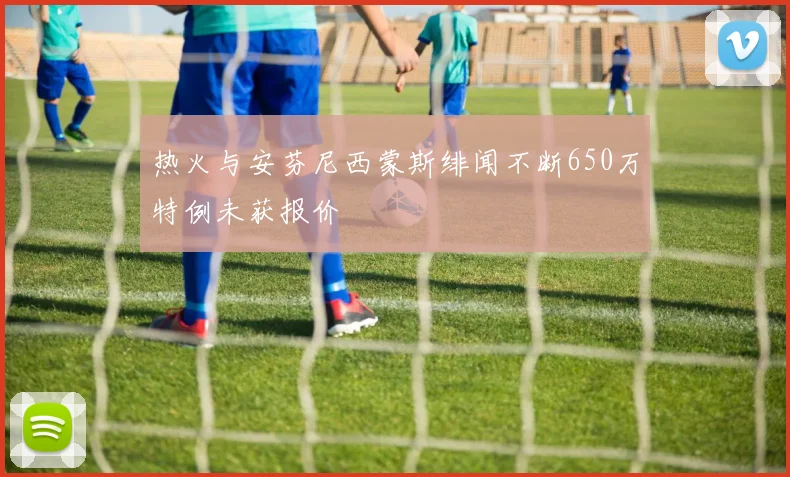 热火与安芬尼西蒙斯绯闻不断650万特例未获报价